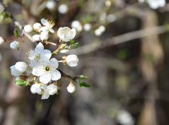 Natur03